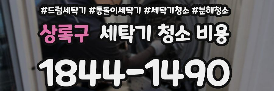 상록구 세탁기 청소 비용
