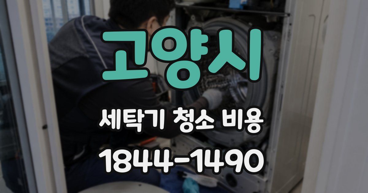 고양시 세탁기 청소 비용