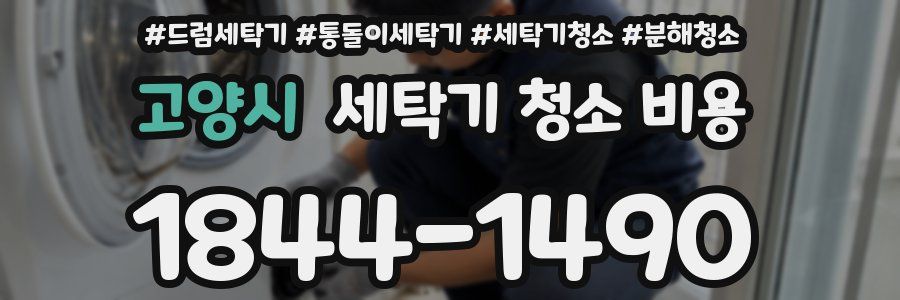 고양시 세탁기 청소 비용