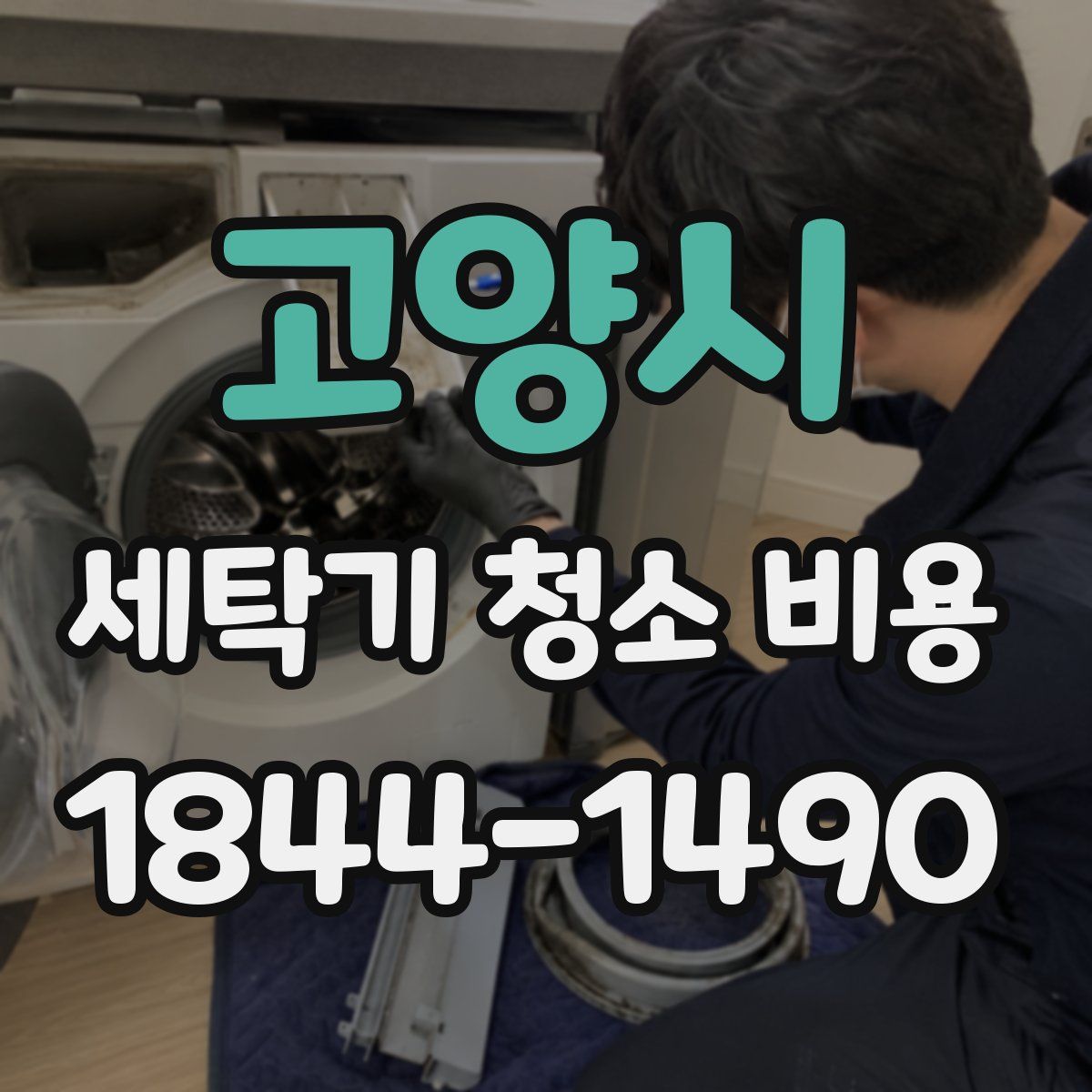 고양시 세탁기 청소 비용