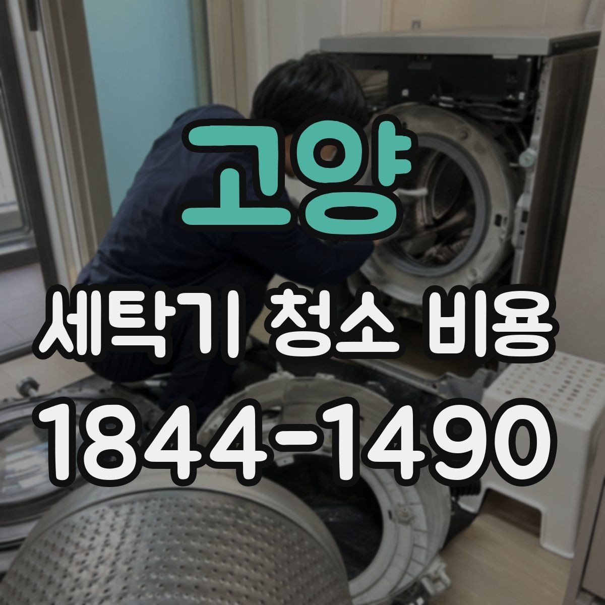 고양 세탁기 청소 비용 분해 작업의 범위가 달라질 때 생기는 차이