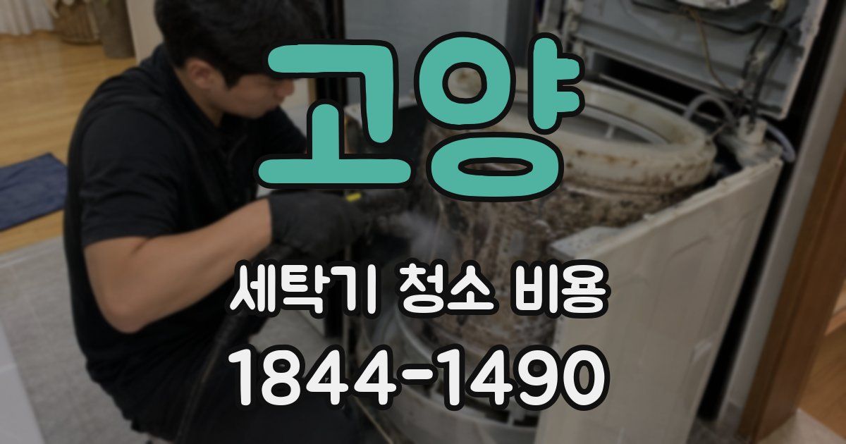 고양 세탁기 청소 비용