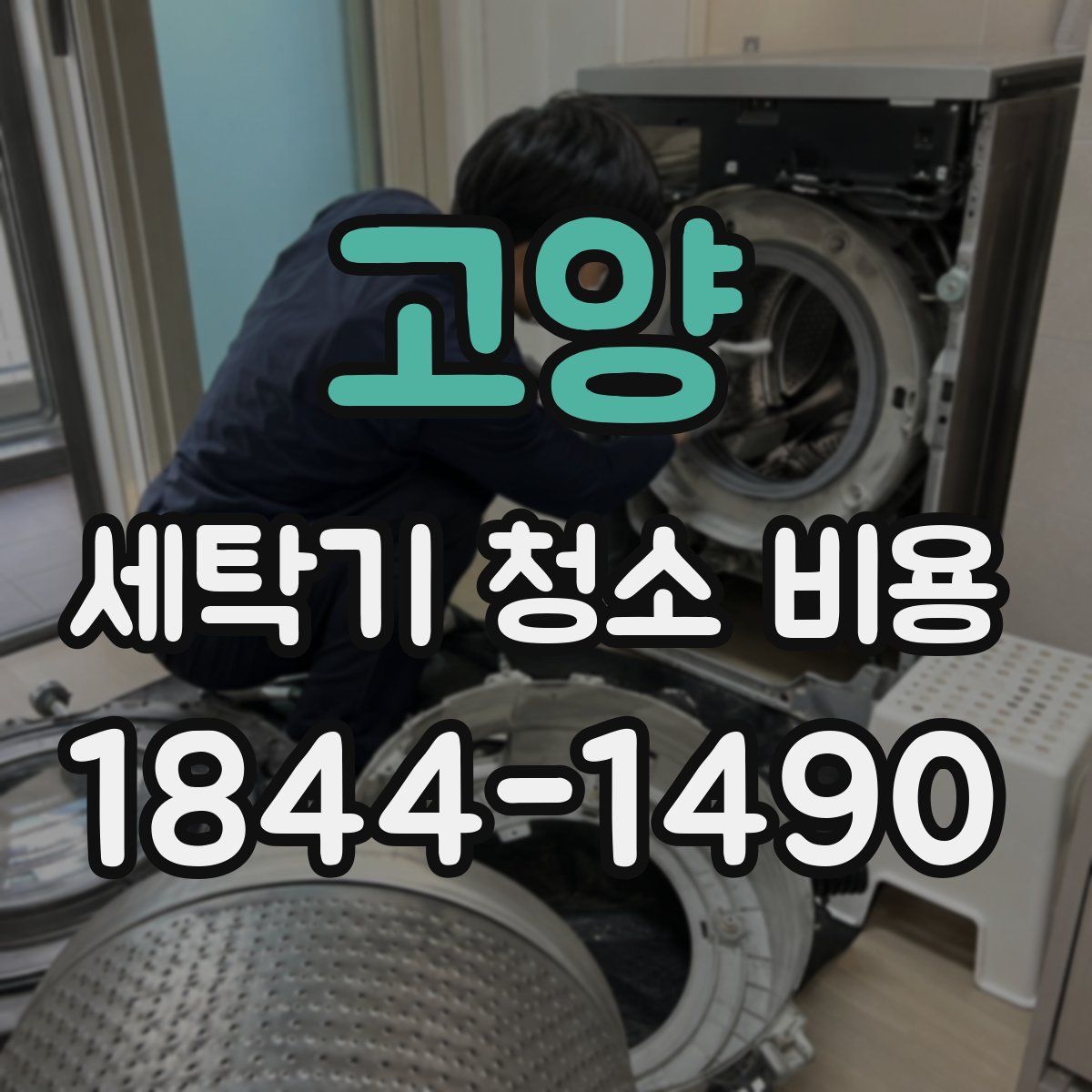 고양 세탁기 청소 비용