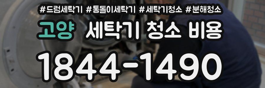 고양 세탁기 청소 비용
