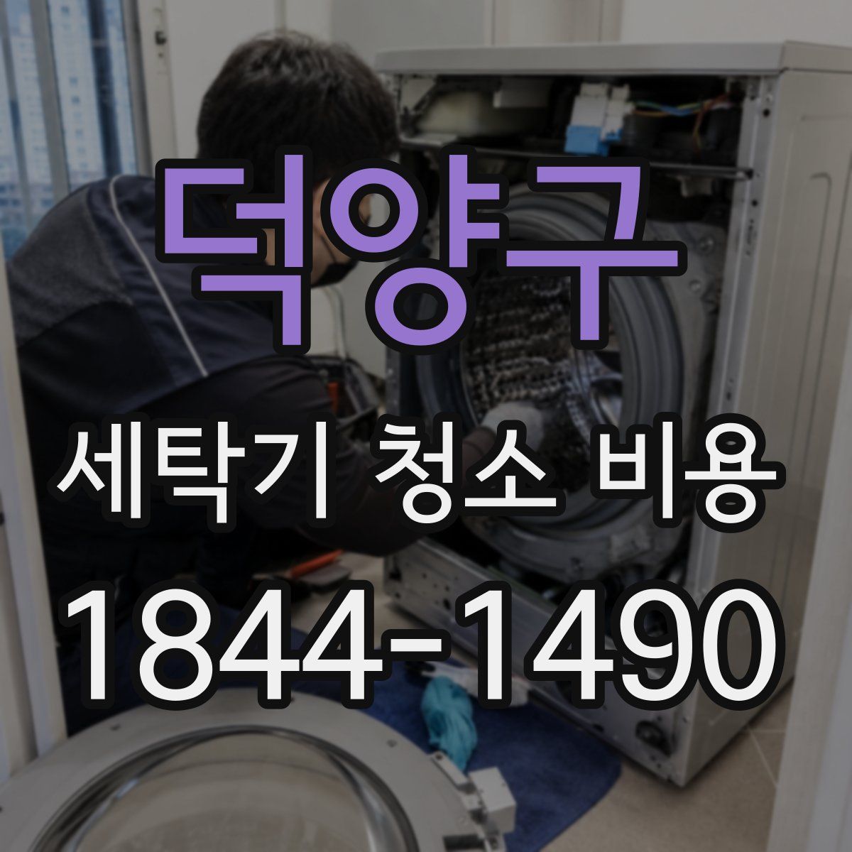 덕양구 세탁기 청소 비용