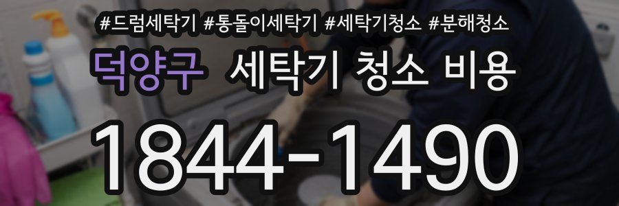 덕양구 세탁기 청소 비용