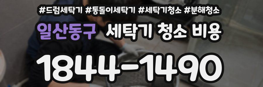 일산동구 세탁기 청소 비용