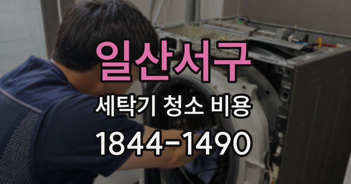 일산서구 세탁기 청소 비용