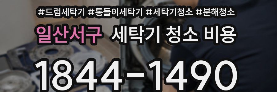 일산서구 세탁기 청소 비용