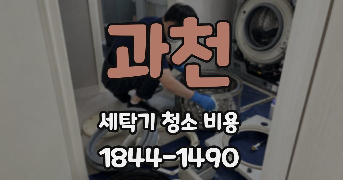 과천 세탁기 청소 비용