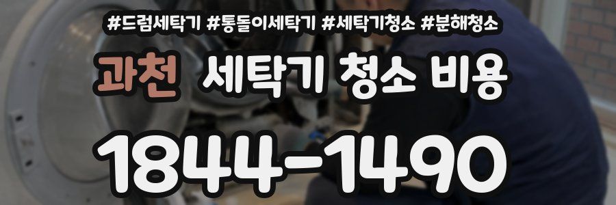 과천 세탁기 청소 비용