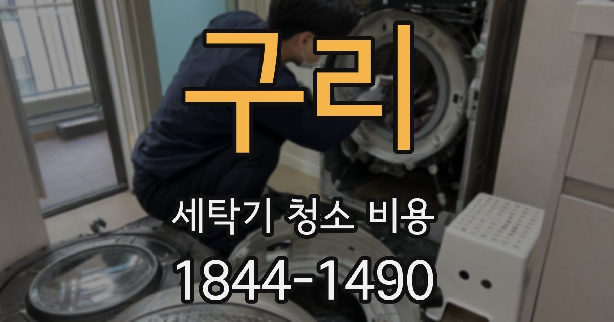 구리 세탁기 청소 비용