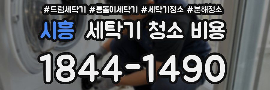 시흥 세탁기 청소 비용