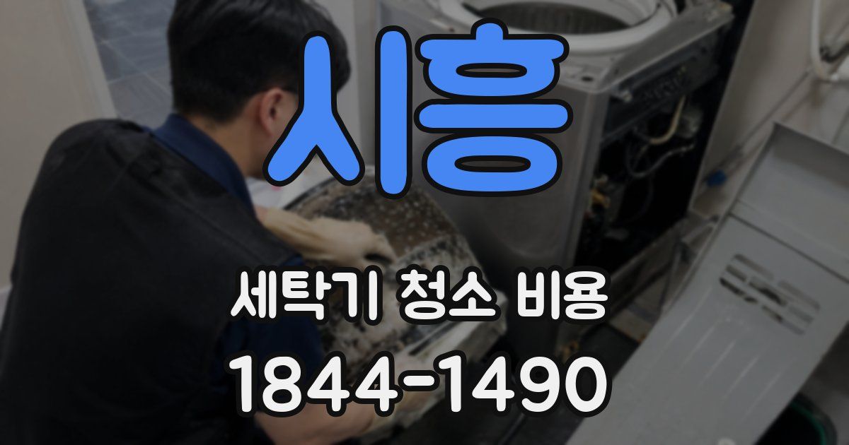 시흥 세탁기 청소 비용