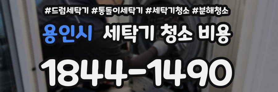 용인시 세탁기 청소 비용