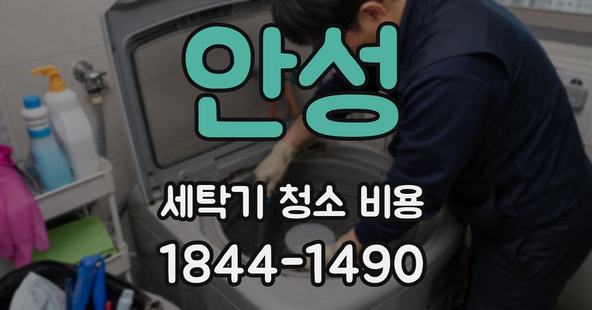 안성 세탁기 청소 비용