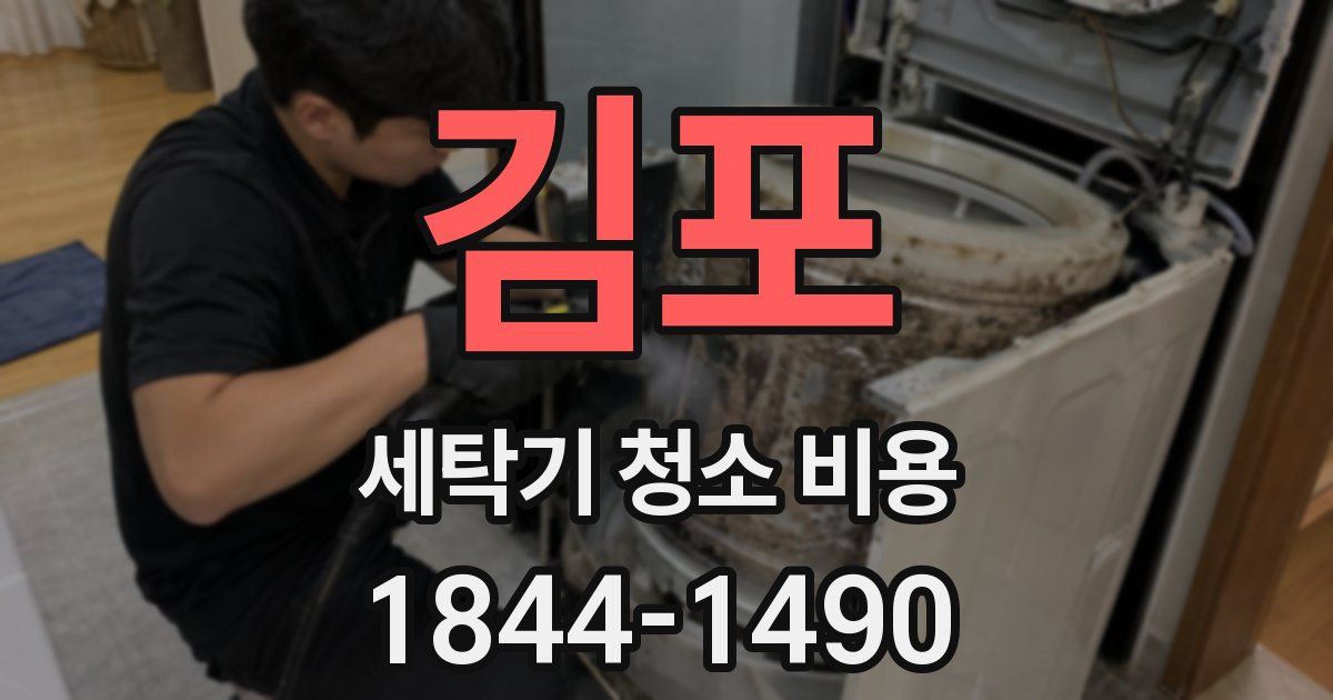 김포 세탁기 청소 비용