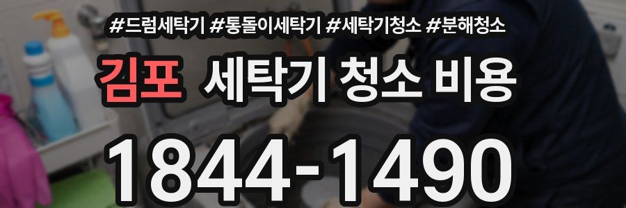 김포 세탁기 청소 비용