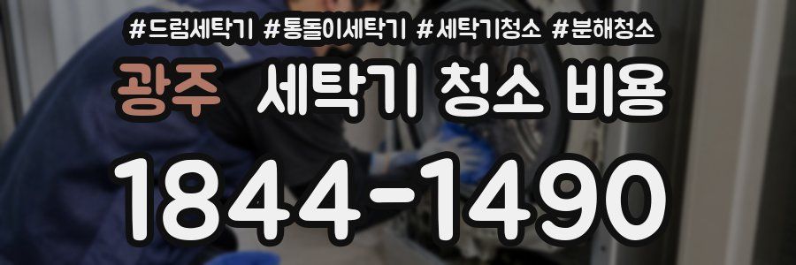 광주 세탁기 청소 비용