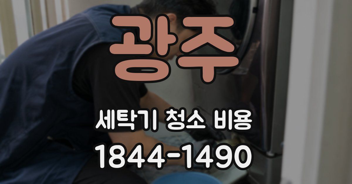 광주 세탁기 청소 비용
