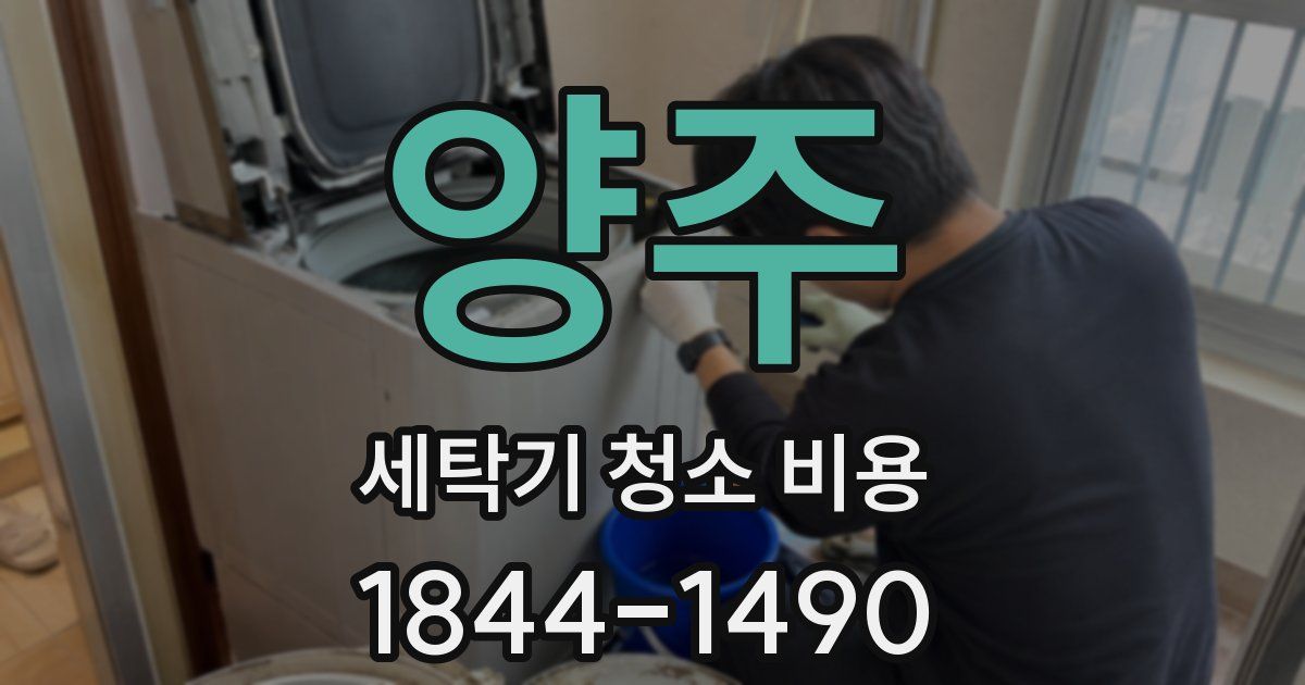 양주 세탁기 청소 비용