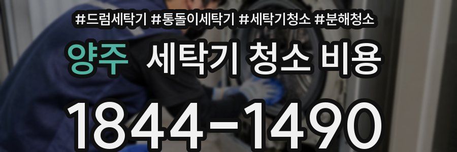 양주 세탁기 청소 비용