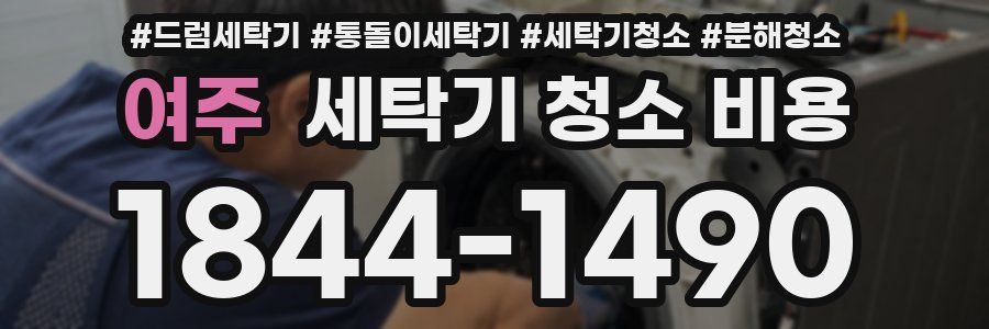 여주 세탁기 청소 비용