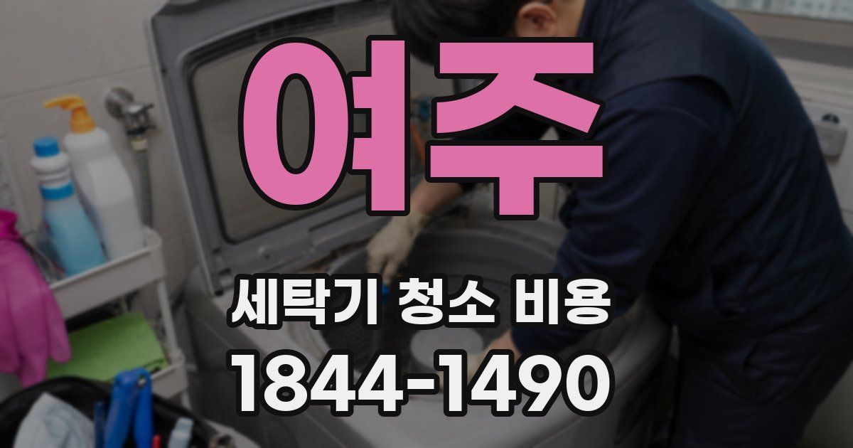여주 세탁기 청소 비용