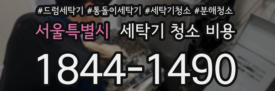 서울특별시 세탁기 청소 비용