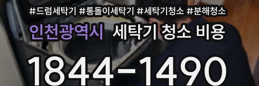 인천광역시 세탁기 청소 비용
