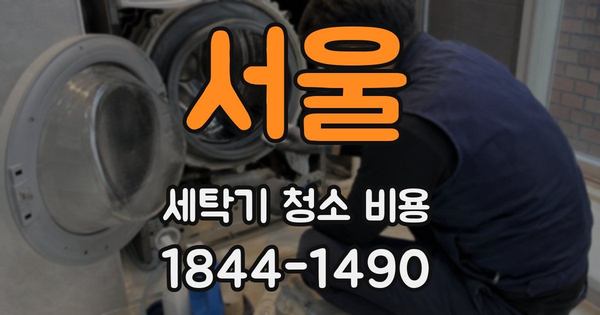 서울 세탁기 청소 비용