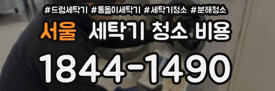 서울 세탁기 청소 비용