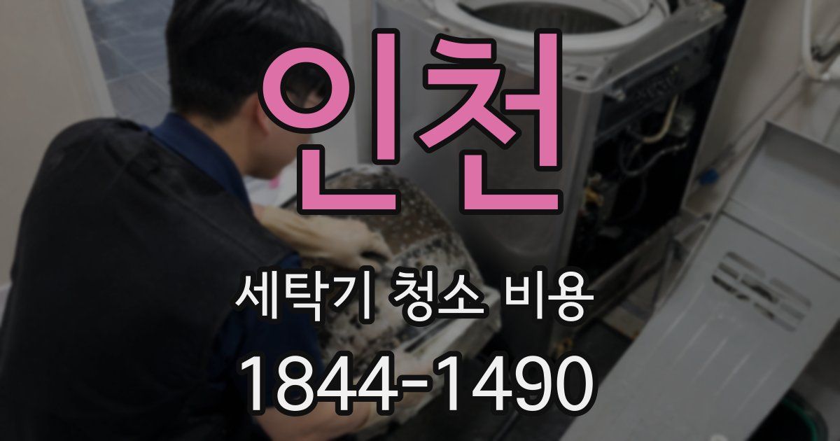 인천 세탁기 청소 비용