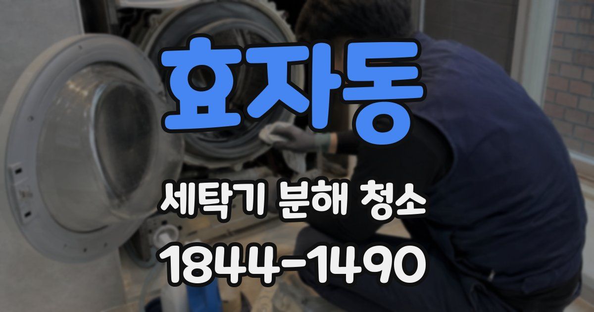 효자동 세탁기 분해 청소