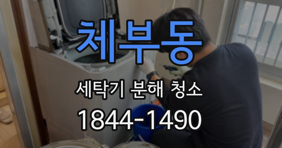 체부동 세탁기 분해 청소