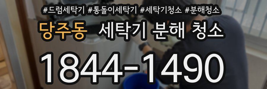 당주동 세탁기 분해 청소