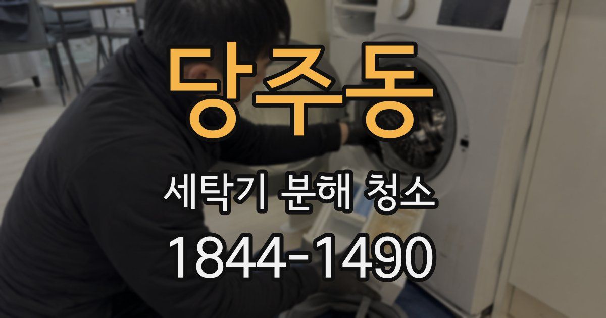 당주동 세탁기 분해 청소