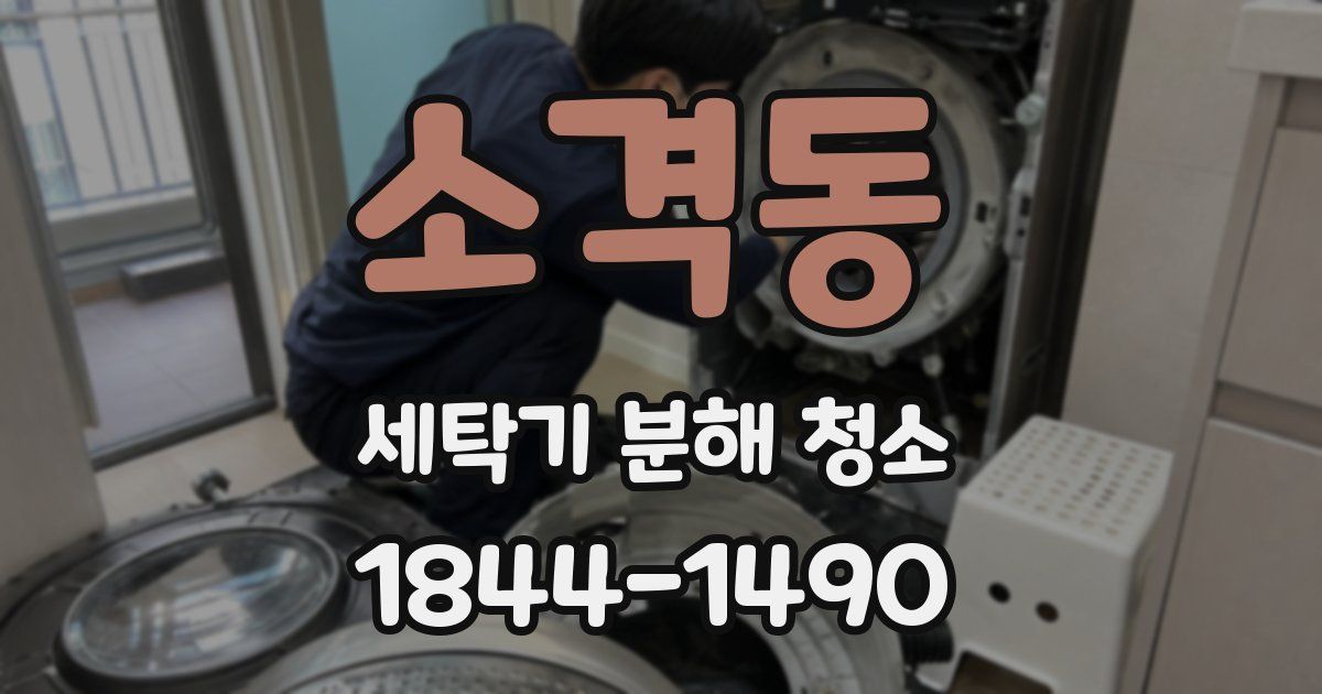 소격동 세탁기 분해 청소