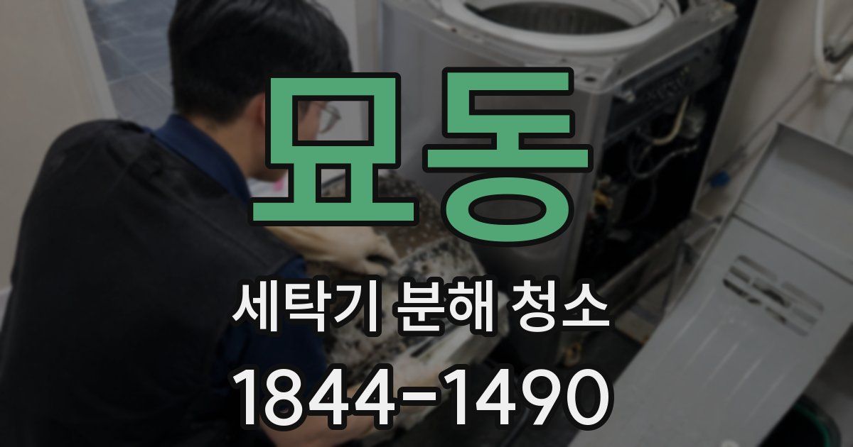 묘동 세탁기 분해 청소