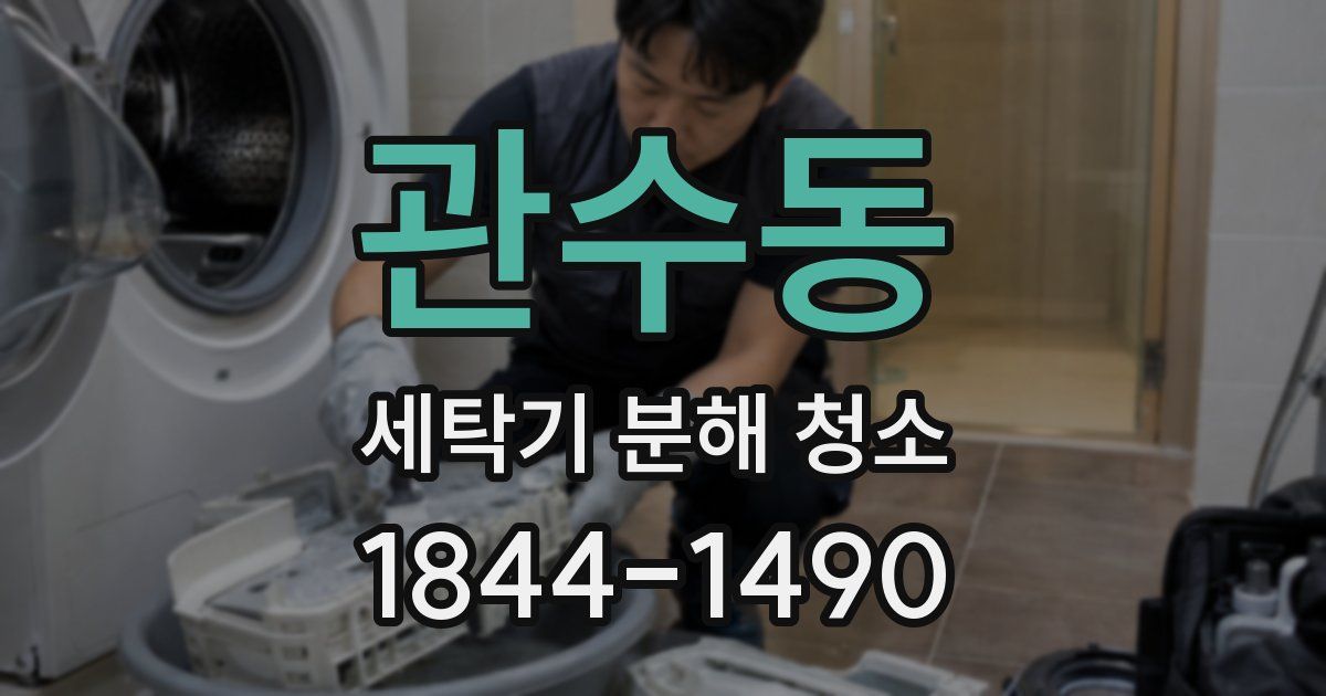 관수동 세탁기 분해 청소