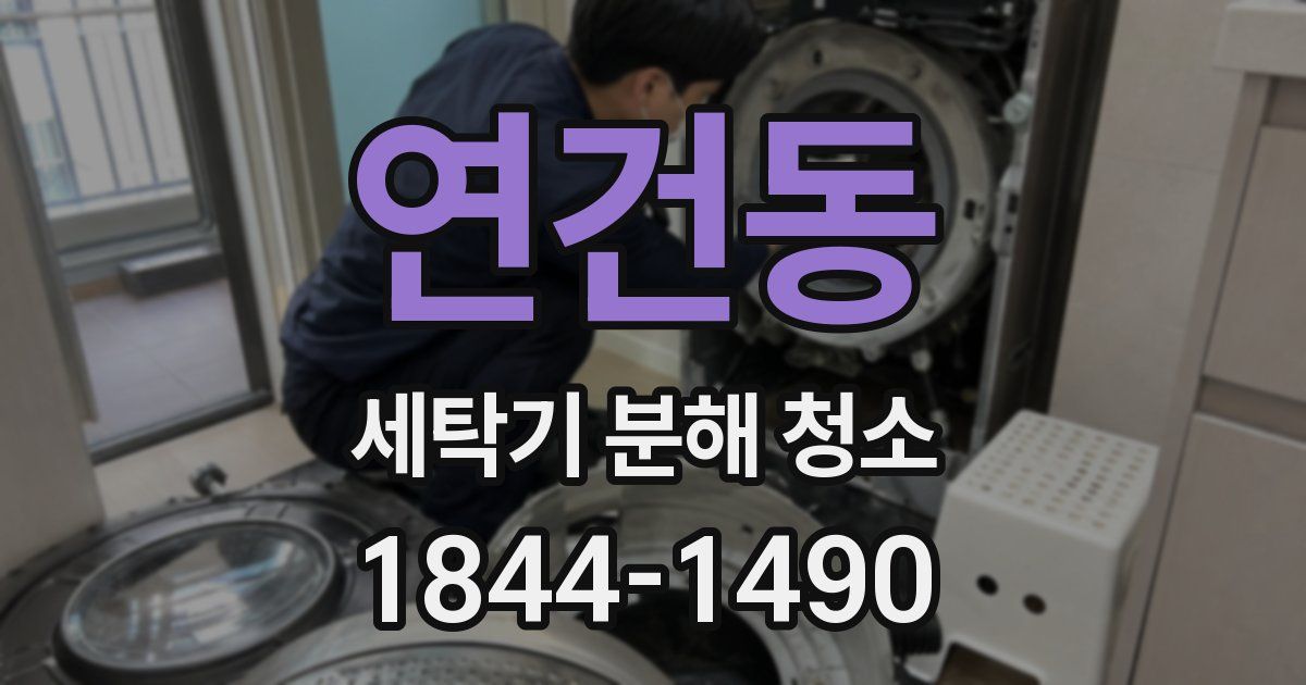 연건동 세탁기 분해 청소
