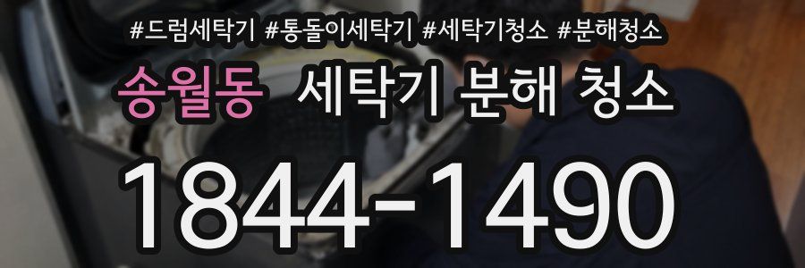 송월동 세탁기 분해 청소