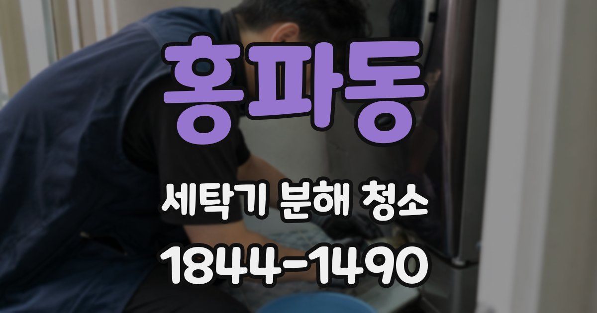 홍파동 세탁기 분해 청소