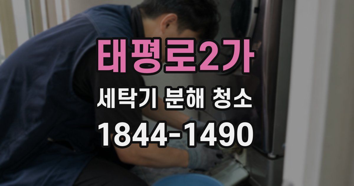 태평로2가 세탁기 분해 청소