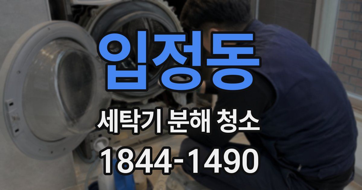 입정동 세탁기 분해 청소