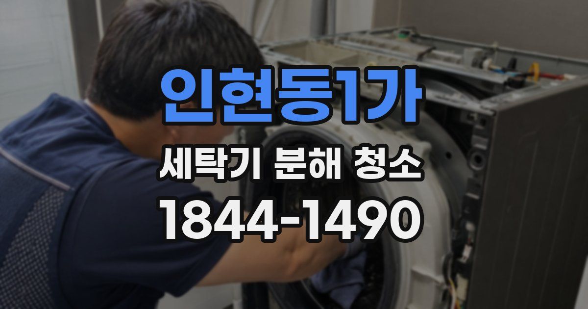 인현동1가 세탁기 분해 청소