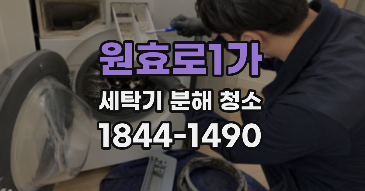원효로1가 세탁기 분해 청소