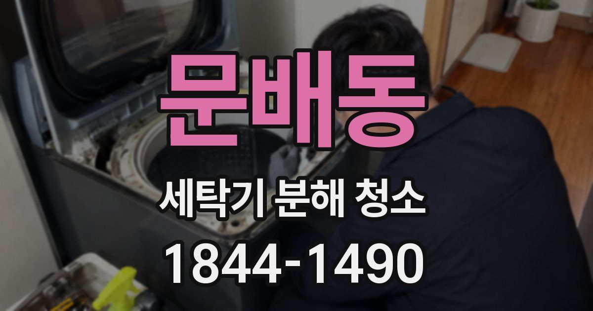 문배동 세탁기 분해 청소