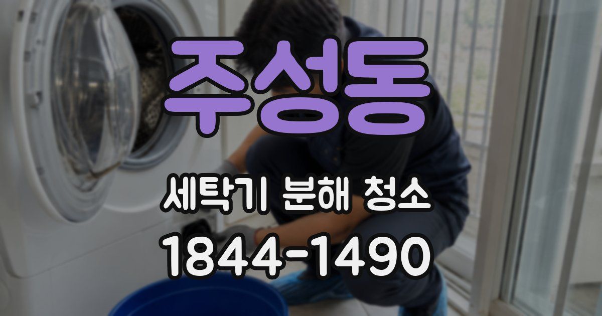 주성동 세탁기 분해 청소