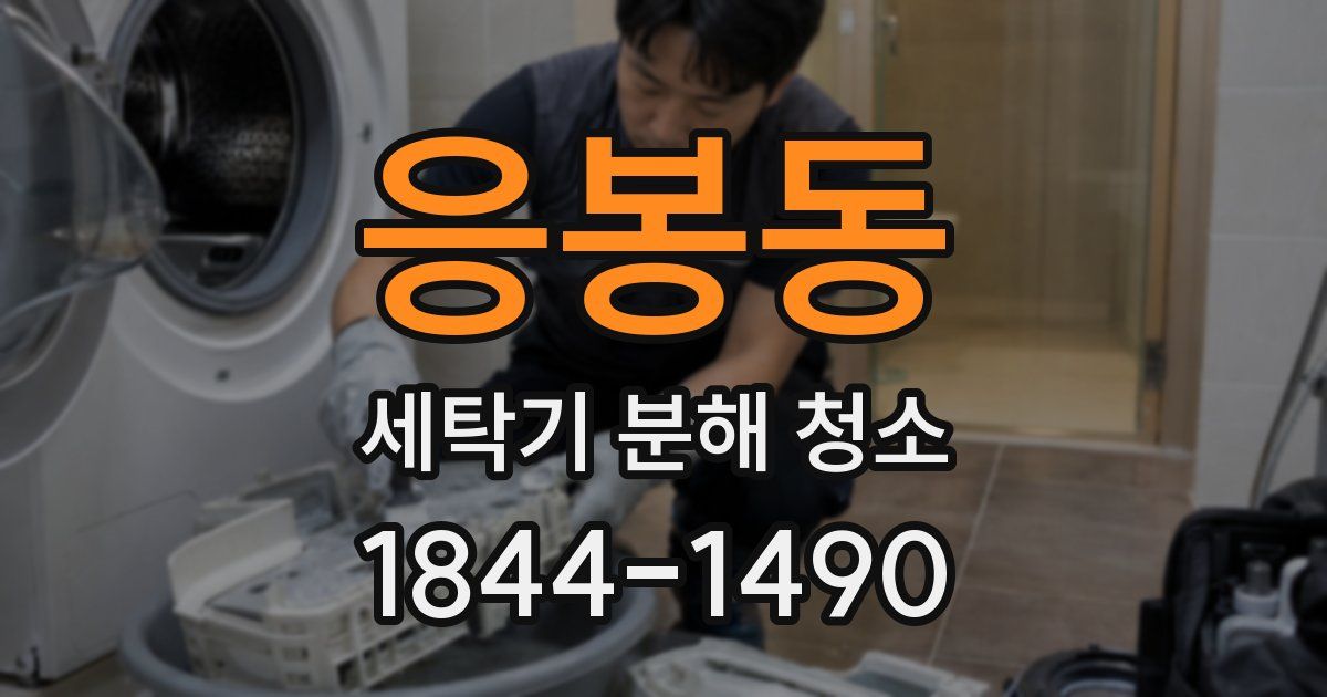 응봉동 세탁기 분해 청소
